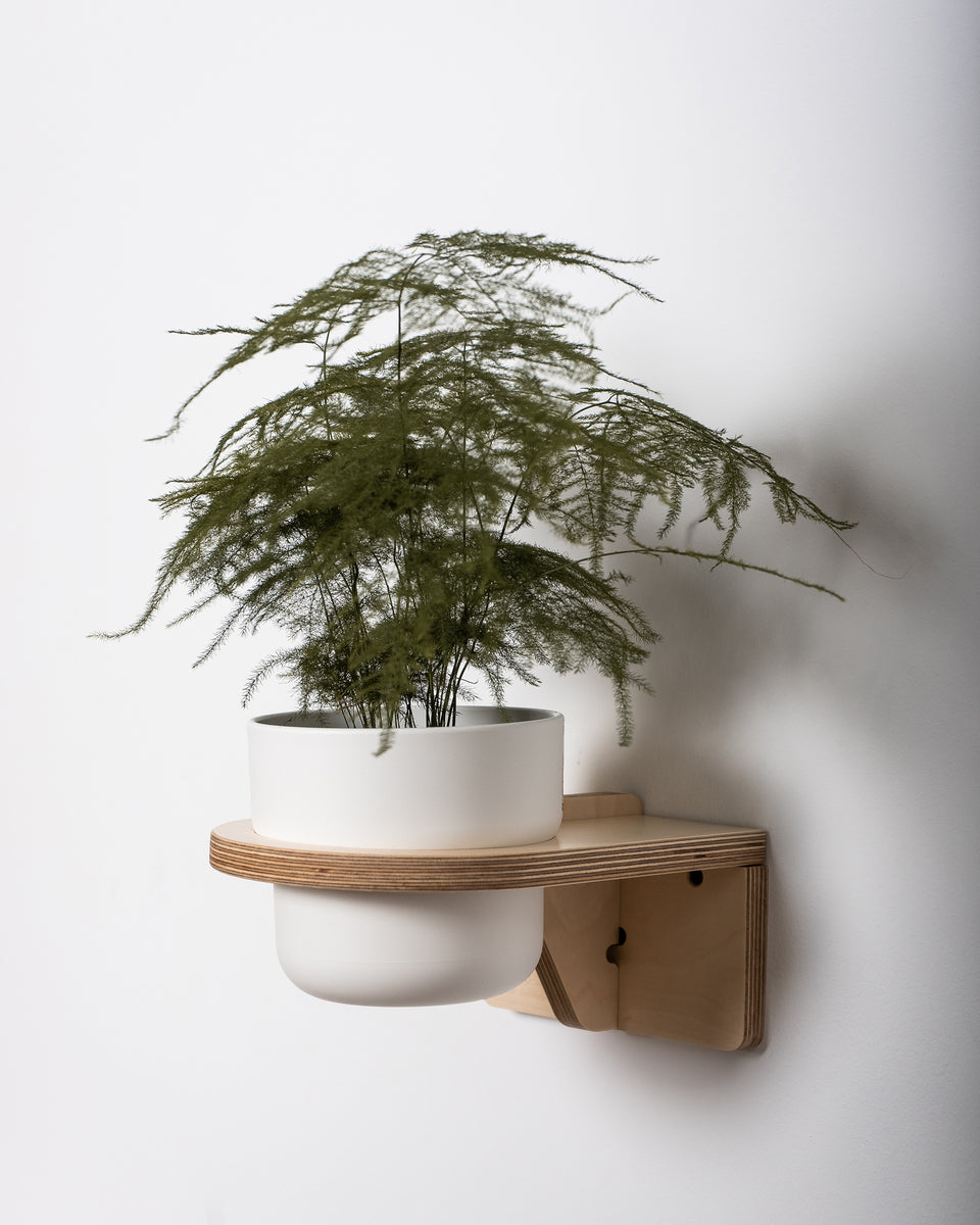 ON #5 | Plant hanger