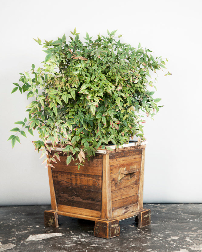 rE #6 | Plant pot