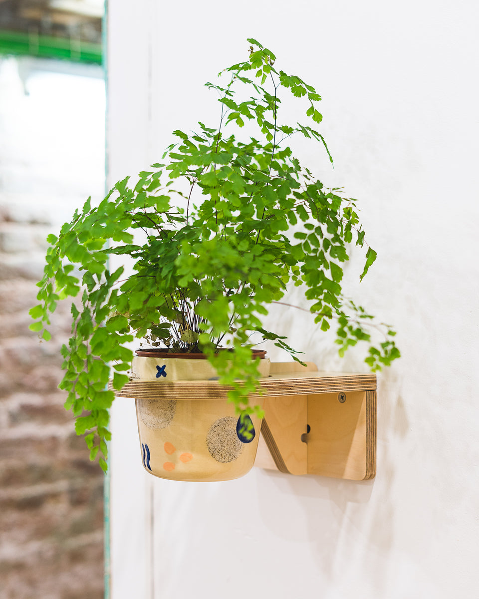 ON #5 | Plant hanger